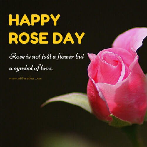 Rose day wishes