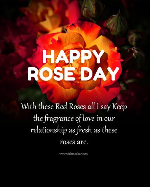 Rose day LOVE QUOTES